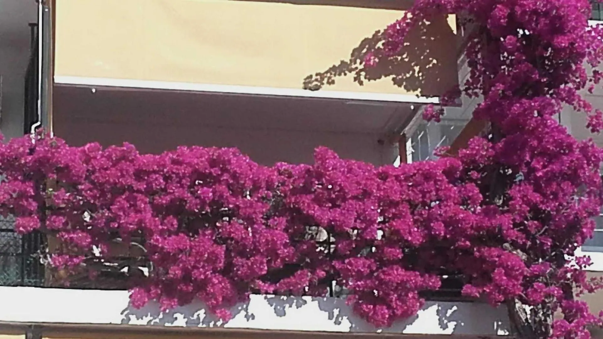 Apartamento La Carihuela A 5 Minutos De La Playavistas Al Mar Torremolinos 0*,