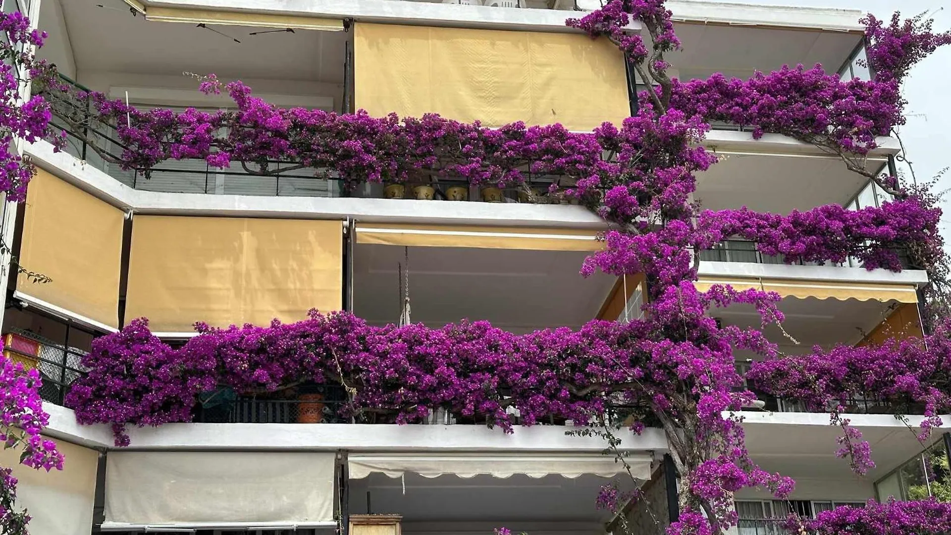 La Carihuela A 5 Minutos De La Playavistas Al Mar Apartamento Torremolinos 0*,